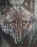 (image for) Windows to the Wild Wolf